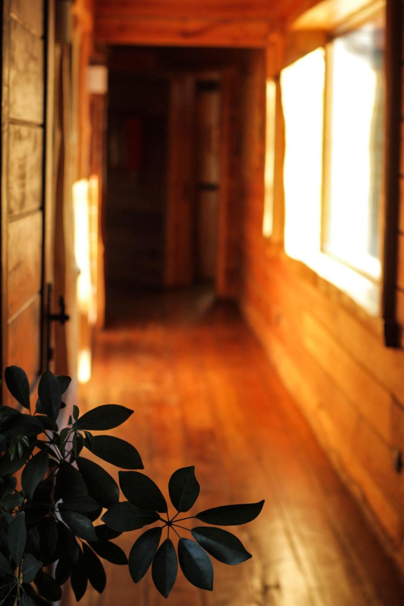 Rocanegra Mountain Lodge Las Trancas Zewnętrze zdjęcie